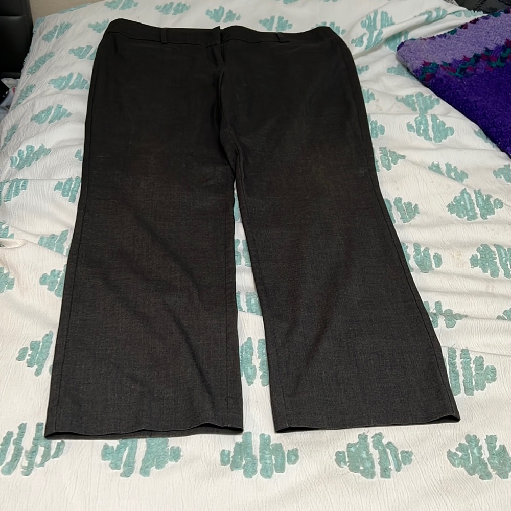 Ann taylor loft trousers